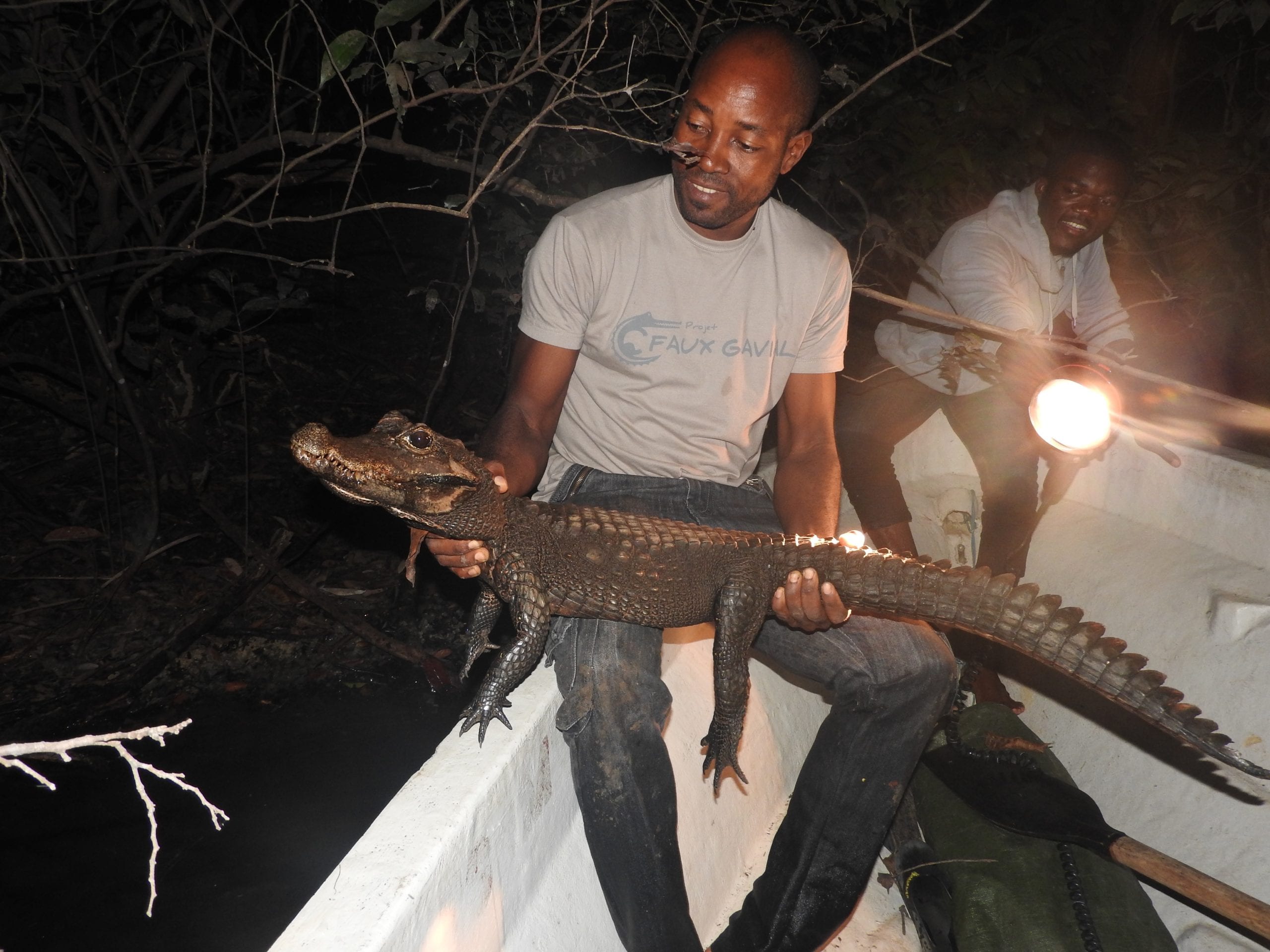 Cyrille Mvele, cofondateur d'OELO, avec un crocodile nain africain à Tsam Tsam (crédit photo Johan Stuart)    