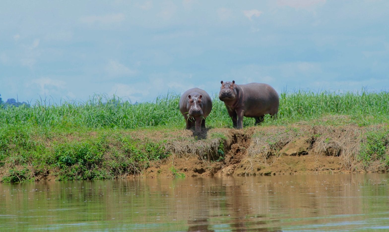 Ecotourism at Tsam Tsam - OELO Gabon